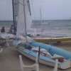IMAG2971